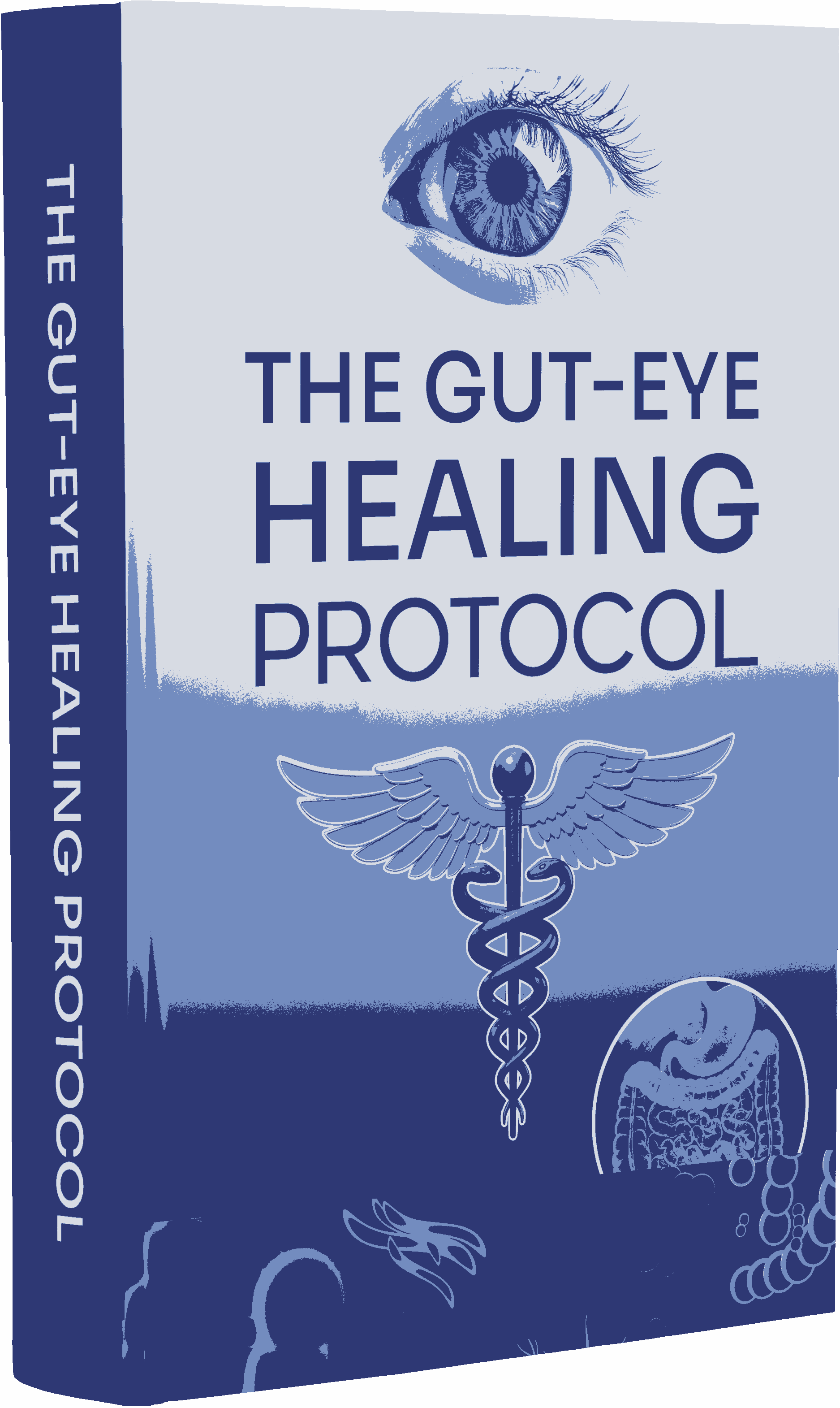 VisiFlora Official Bonus 2 - Gut Health Detox Guide